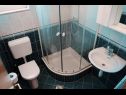 Kuća za odmor Mary - with pool: H(8) Rogoznica - Rivijera Šibenik  - Hrvatska - H(8): kupaonica s toaletom