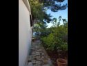 Kuća za odmor More - sea view: H(2) Maslinica - Otok Šolta  - Hrvatska - vrt
