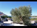 Kuća za odmor Željko - sea view H(4+2) Drvenik Mali (Otok Drvenik Mali) - Rivijera Trogir  - Hrvatska - detalj (kuća i okolica)