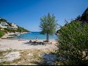 Apartmani Sretan A1-Rogač(5+1), A2-Višnja(4+1), A3-Kiwi(2+1) Uvala Ljubljeva (Vinišće) - Rivijera Trogir  - Hrvatska - plaža