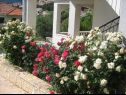Apartmani Davorka - 50m from the sea A1(2+2), A2(2+2) Trogir - Rivijera Trogir   - cvijeće