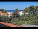 Apartmani MiMa - 150 m from the beach: A1(2+2), A3(5), A2(2+2) Sušica - Otok Ugljan   - pogled na more (kuća i okolica)