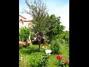 Apartmani Nika - nice garden: A1(2), A2(4+1), A3(6), A4(2) Nin - Rivijera Zadar   - vrt (kuća i okolica)