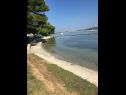 Apartmani Andy - only 50 m from beach: A1(3+1), A2(2+1), SA1(2) Sukošan - Rivijera Zadar   - plaža