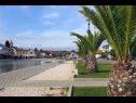 Apartmani Let - 5 m from sea : A1(4), A4(4) Sukošan - Rivijera Zadar   - detalj
