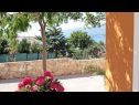 Kuća za odmor Anamaria - sea and mountain view: H(3+2) Vinjerac - Rivijera Zadar  - Hrvatska - dvorište