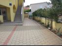 Apartmani Vanja - terrace & BBQ A1(4+2), A2(4+1) Vir - Rivijera Zadar   - dvorište