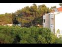 Apartmani VINK - 80 m from beach A2(4), A3(4), A4(4) Vir - Rivijera Zadar   - Apartman - A4(4): pogled (kuća i okolica)