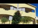 Apartmani Vanja - terrace & BBQ A1(4+2), A2(4+1) Vir - Rivijera Zadar   - kuća