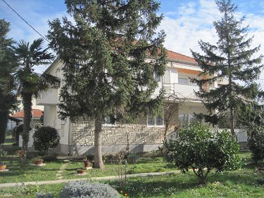 Apartmani Ivan - with large terrace : A1(5) Zadar - Rivijera Zadar  