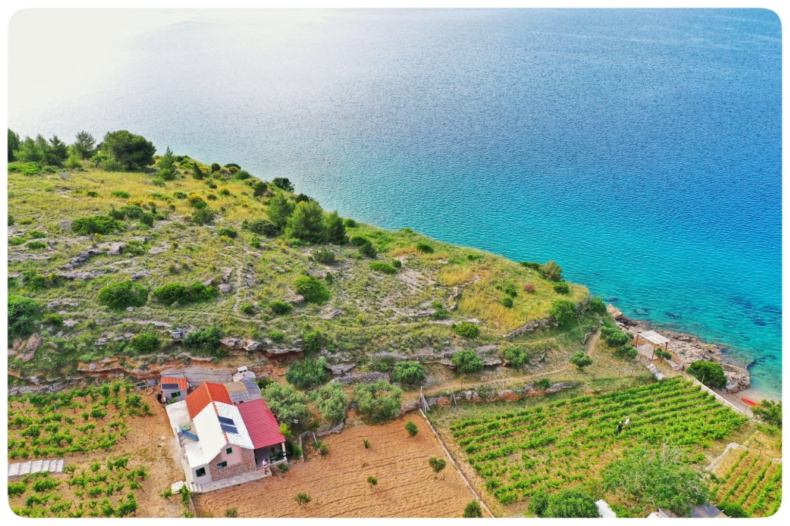 Kuća za odmor Smokovlje - sea view and vineyard H(4) Bol - Otok Brač  - Hrvatska